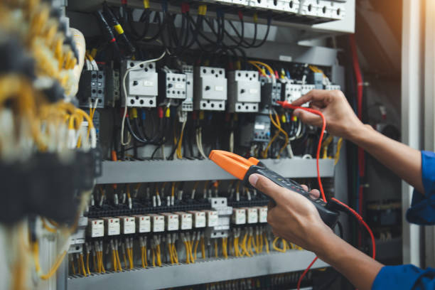 Best Home Electrical Repair  in Isanti, MN